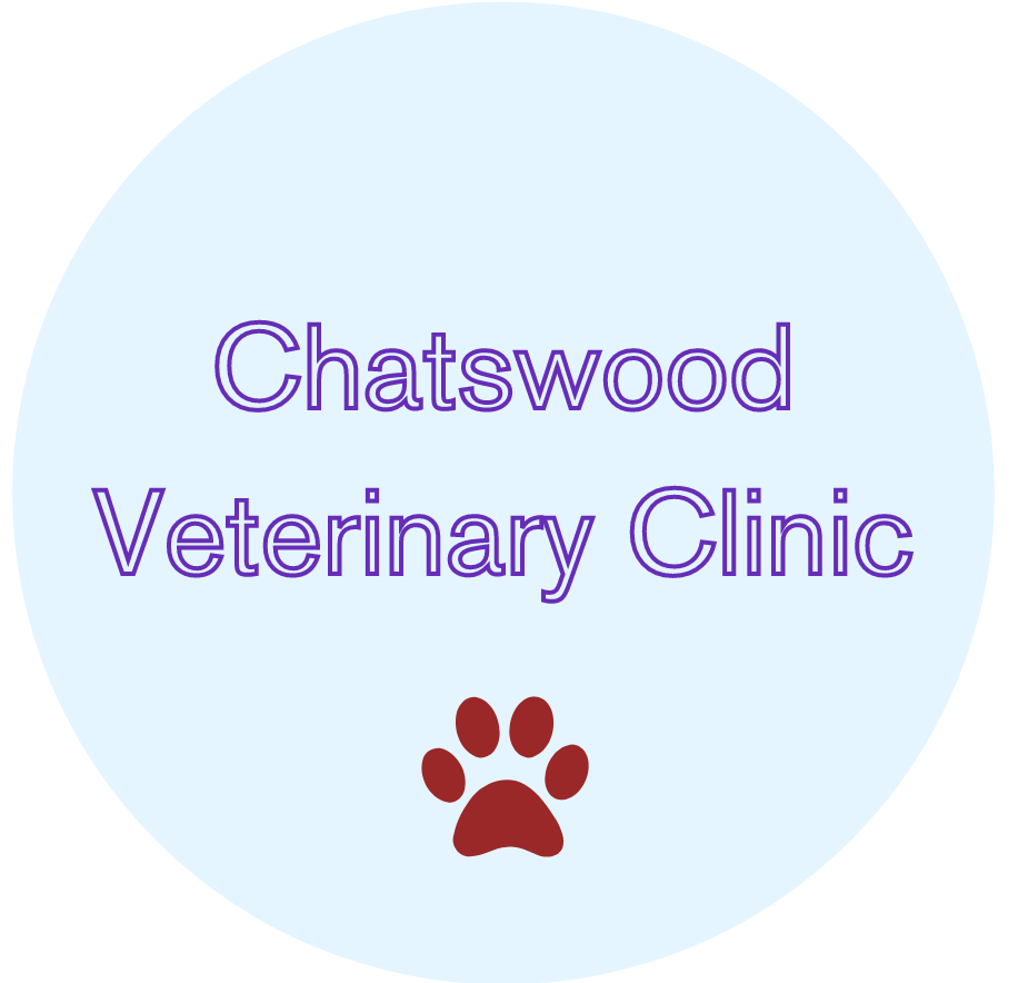 Chatswood Veterinary Clinic 